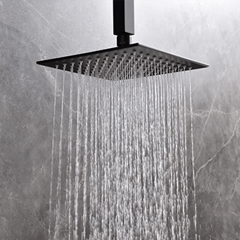 Bathroom Showers 08 Series