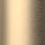 Brush Champagne Gold
