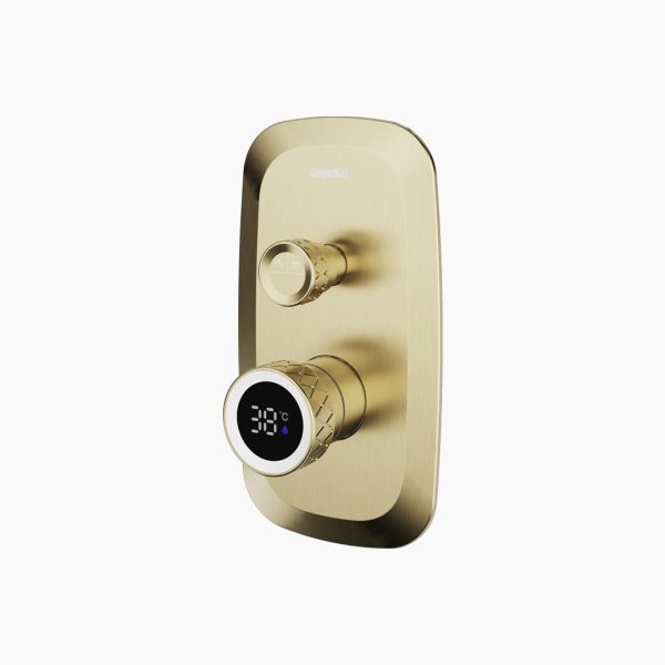 Wall-mounted Shower Valve